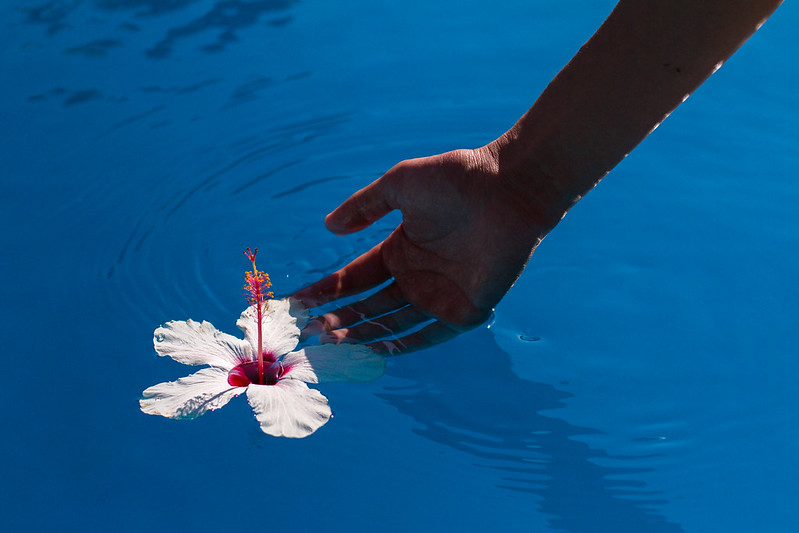 hand and flower in water